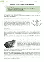 Vorschau - Arbeitsblätter - Amphibien | Merkmale von Amphibien | Angepasstheit - Deckblatt