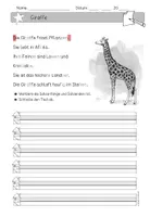 Vorschau - Arbeitsblätter - Abschreibtexte: Zootiere (3-fach differenziert) Klasse 1-3 - Seite 1