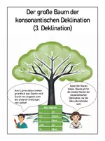 Vorschau - Poster - Deklinationsbaum Konsonantische Deklination (3. Deklination) - Zwei Zusatzinformationen - DinA3 - Deckblatt