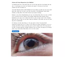Vorschau - Stundenentwürfe - Blindheit/Sachtext/PDF-Arbeitsblätter/interaktiv/H5P/Moodle/+Lösungen - Seite 3