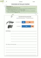 Vorschau - Arbeitsblätter - Amphibien | Atmung | Oberflächenvergrößerung - Deckblatt