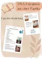 Vorschau - Arbeitsblätter - DNA-Extraktion aus einer Paprika - Versuchsanleitung - Deckblatt