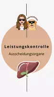 Vorschau - Arbeitsblätter - Leistungskontrolle Ausscheidungsorgane und Stoffwechsel - Deckblatt