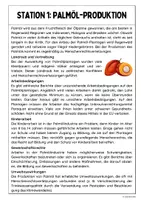 Vorschau - Stationenlernen - Menschenrechtsverletzungen (Stationenarbeit) - Seite 1