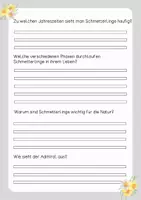 Vorschau - Arbeitsblätter - Lesetext (Lesetandem) "Schmetterlinge" - mit Fragen zum Text - Seite 3