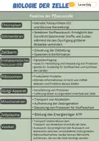Vorschau - Merkblätter - Zellbiologie Übersicht - (11. Klasse) - Seite 2