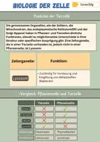 Vorschau - Merkblätter - Zellbiologie Übersicht - (11. Klasse) - Seite 3