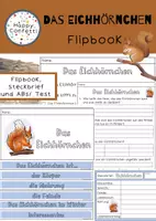 Vorschau - Arbeitsblätter - Das Eichhörnchen - Flipbook und Arbeitsblätter - Deckblatt