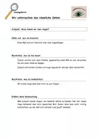 Vorschau - Arbeitsblätter - Lia und Timo untersuchen das räumliche Sehen - Seite 2