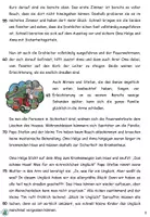 Vorschau - Text - Lesetext "Glück im Unglück" zweifach differenziert - Die Feuerwehr - Achtung, Notfall! DaZ / DaF / Deutsch - Seite 3