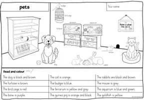 Vorschau - Arbeitsblätter - PAKET - pets - Seite 2
