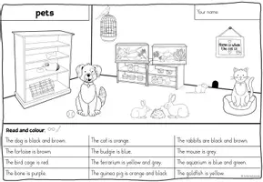 Vorschau - Arbeitsblätter - PAKET - pets - Seite 3