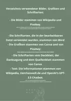 Vorschau - Klassenarbeiten - Klassenarbeit Tierbeschreibung: Ameisenbär mit Erwartungshorizont - Seite 2