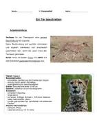 Vorschau - Klassenarbeiten - Klassenarbeit Tierbeschreibung - Gepard - Seite 3