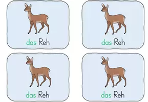 Vorschau - Merkblätter - Wortschatzheft Tiere im Winter - Seite 1
