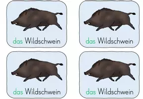 Vorschau - Merkblätter - Wortschatzheft Tiere im Winter - Seite 3