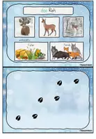 Vorschau - Stationenlernen - Kartei Tiere im Winter Klasse 1 - Seite 1