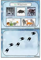 Vorschau - Stationenlernen - Kartei Tiere im Winter Klasse 1 - Seite 3