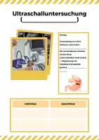 Vorschau - Stundenentwürfe - Materialpaket "Der Bewegungsapparat" Unterrichtsreihe - Seite 3