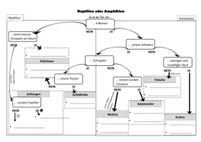 Vorschau - Arbeitsblätter - Reptilien oder Amphibien? Eine einfache Bestimmungstabelle - Deckblatt