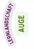 Vorschau - Unterrichtsreihen - Lernlandschaft Auge - Seite 1