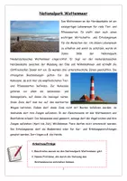 Vorschau - Unterrichtsreihen - Materialpaket "Nordsee/Wattenmeer" Jg. 5+6 inkl. Lösungen - Seite 3
