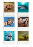 Vista previa - Unidades / Secuencias / Situaciones de Aprendizaje - Adverbios de frecuencia y animales / Inglés - English ESL EFL - página 1