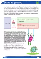 Vorschau - Stundenentwürfe - Mit den Mompitzen Problemloesungsstrategien entwickeln - Seite 2