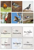 Vorschau - Spiele - Merkspiel "Heimische Vögel" - Seite 3