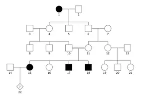 Vorschau - Arbeitsblätter - Stammbaumanalyse am Beispiel der Phenylketonurie - Arbeitsblatt inkl. Lösungen - Seite 3