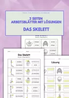 Vorschau - Arbeitsblätter - Skelett-Quiz: 2 Arbeitsblätter zu Skelettteilen für die 4. Klasse (DaZ/DaF) - Deckblatt