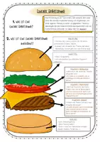 Vorschau - Arbeitsblätter - Lineare Erörterung - Merkblatt und Tafelkarten (Burger) - Seite 2