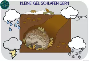 Vorschau - Arbeitsblätter - BUNDLE: Weihnachts- und Winterlieder mit dem Anybook-Reader - Seite 2