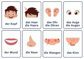 Vorschau - Arbeitsblätter - Bildkarten der Körperteile: Lernmaterial für die 1./2. Klasse & DaZ/DaF - Seite 1