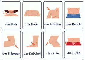 Vorschau - Arbeitsblätter - Bildkarten der Körperteile: Lernmaterial für die 1./2. Klasse & DaZ/DaF - Seite 2