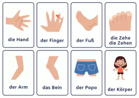 Vorschau - Arbeitsblätter - Bildkarten der Körperteile: Lernmaterial für die 1./2. Klasse & DaZ/DaF - Seite 3