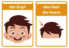 Vorschau - Präsentationen/Tafelbilder - 24 Bildkarten der Körperteile A5: Wortschatz 1./2. Klasse & DaZ/DaF - Seite 2