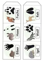 Vorschau - Arbeitsblätter - Leporello, Spuren im Schnee, Tiere, Wald - Seite 2