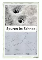 Vorschau - Fördermaterial/Inklusion - Spuren im Schnee (Tafelmaterial), Wald - Seite 1