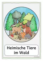 Vorschau - Fördermaterial/Inklusion - Tiere im Wald, Tafelmaterial - Seite 2
