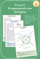 Vorschau - Arbeitsblätter - Gruppenpuzzle zum Zellzyklus - Deckblatt