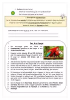 Vorschau - Arbeitsblätter - Forscheraufgabe- Der Ara-Papagei (adifferenzierte Version) - Seite 1