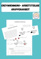Vorschau - Arbeitsblätter - Enzymhemmung - Arbeitsteilige Gruppenarbeit - Deckblatt