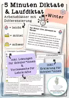 Vorschau - Stationenlernen - 5 Minuten Diktate und Laufdiktate "Winter" mit Differenzierung #21 FrauCuppaTea - Deckblatt