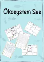 Vorschau - Arbeitsblätter - Ökosystem See - Deckblatt