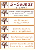 Vorschau - Fördermaterial/Inklusion - DaF / DaZ Englisch Herbst S-Laute Übungskarten - Seite 2