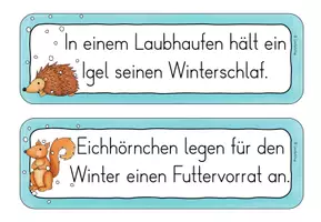 Vorschau - Arbeitsblätter - Wachsendes Materialpaket: Laufdiktate/ Schleichdiktate Klasse 2-3 - Seite 3