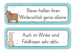 Vorschau - Arbeitsblätter - Laufdiktat/ Schleichdiktate -Tiere im Winter- - Seite 3