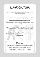 anteprima - Schede informative - Schede didattiche Neolitico - Pagina 3