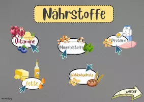 Vorschau - Unterrichtsreihen - Interaktive PDF-Nährstoffe - Seite 1